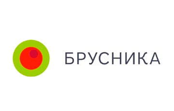 Строительная компания брусника